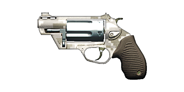 THE JUDGE SHOTGUN | Pixel , Lightly-Marked, Stat Boost