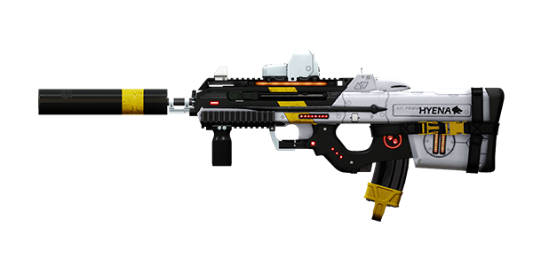 UNION 5.56 RIFLE | Hyena, Battle-Worn, Stat Boost