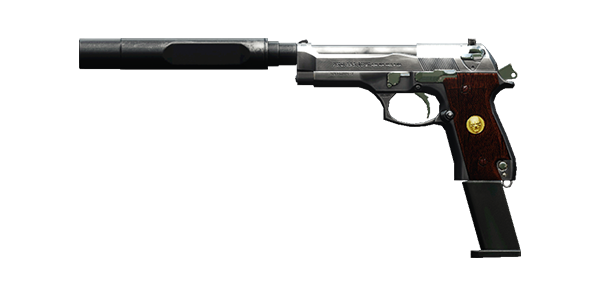 BERNETTI 9 PISTOL | Buckle Hunter , Lightly-Marked, Stat Boost