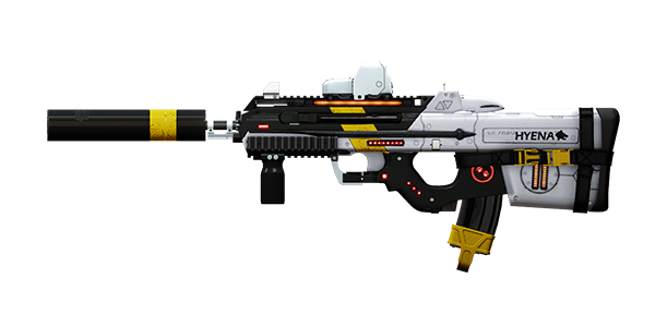 UNION 5.56 RIFLE | Hyena, Broken-In, Stat Boost