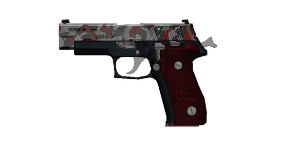 SIGNATURE .40 PISTOL | Polisgris, Battle-Worn, Stat Boost