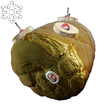 Christmas | Ham Head | Precious