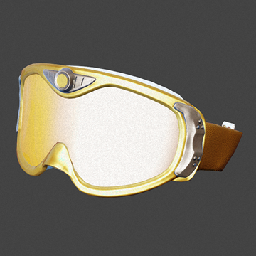Winter | Snow Goggles | Precious