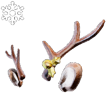 Christmas | Deer Antlers | Precious