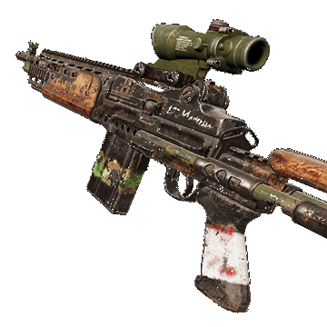 M14EBR | Vietnam | Battle-Scarred