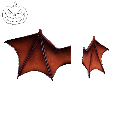 Halloween | Bat Wings | Nocturnal