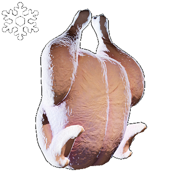 Christmas | Turkey Hat | Underdone