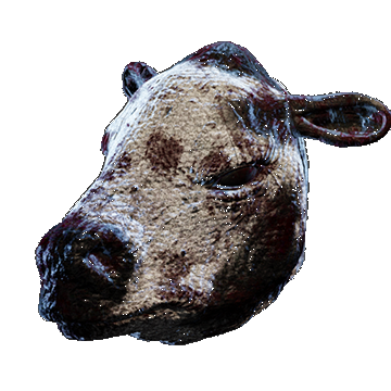 Cow | Slaughterhouse | Whiteblack