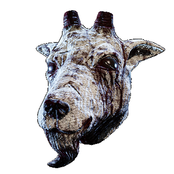 Goat | Slaughterhouse | White