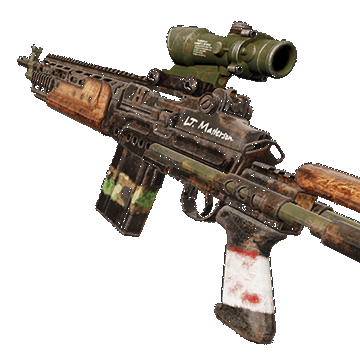 M14EBR | Vietnam | Mint