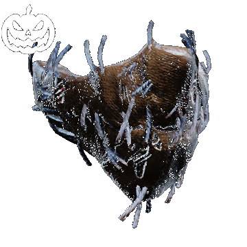Halloween | Scarecrow Mask | Brown