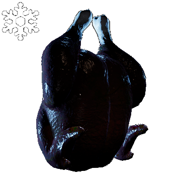 Christmas | Turkey Hat | Overdone