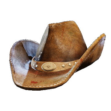 Cowboy Hat
