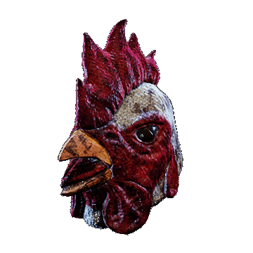 Chicken | Slaughterhouse | Whitered