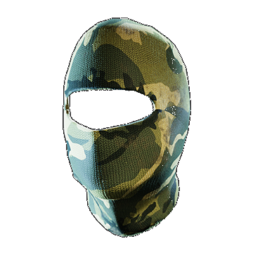 GS9 Mask | Camo