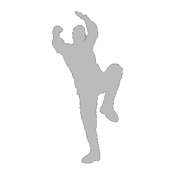 Crane Fist | Emote