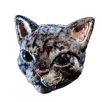 Cat | Slaughterhouse |  Grey