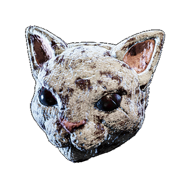 Cat | Slaughterhouse |  White