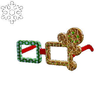 Christmas | Cookie Glasses | Green Wrapping