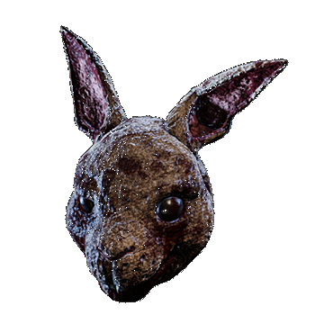 Rabbit | Slaughterhouse | Brown