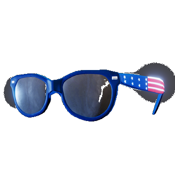 Retro Sunglasses | USA