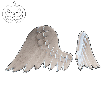 Halloween | Angel Wings | Celestial