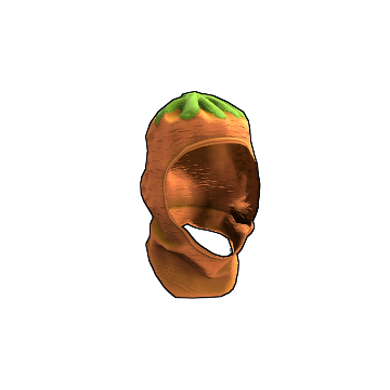 Carrot Balaclava