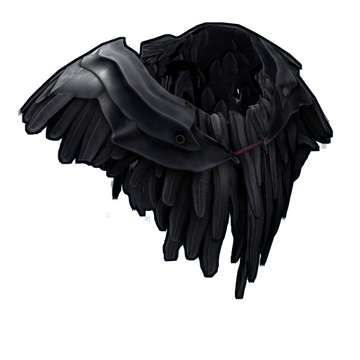 Raven Poncho