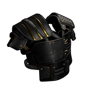 Black Gold Vest