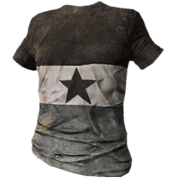 Gray Striped Shirt with Star