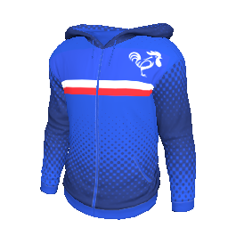 France Hoodie