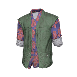 Hawaiian Shirt and Vest