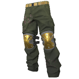 Gold Padded Pants