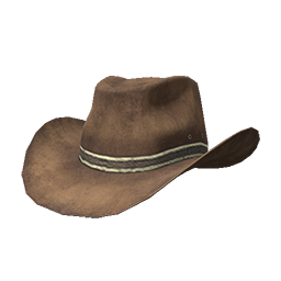 Brown Cowboy Hat