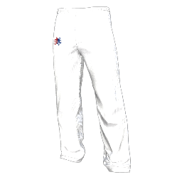 Twin Galaxies Warmup Pants (White)