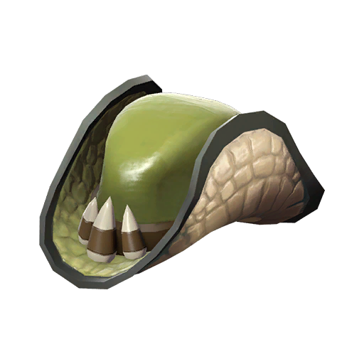 Wild Brim Slouch