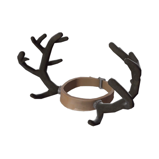 Unusual Antlers