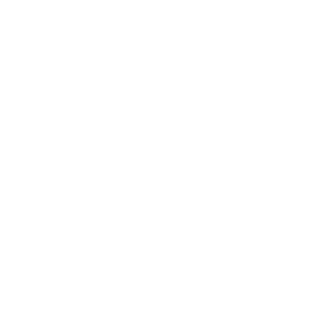 全息 Team Secret战队贴纸 - 2022年TI