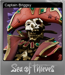 Captain Briggsy (闪亮)
