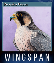 Peregrine Falcon (集换式卡牌)