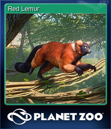 Red Lemur