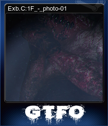 493520-Exb.C:1F_-_photo-01