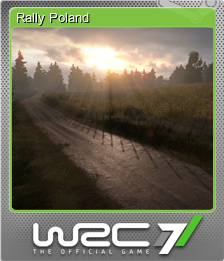 Rally Poland (闪亮)