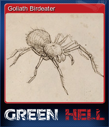 Goliath Birdeater