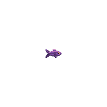 :summerfish2023:
