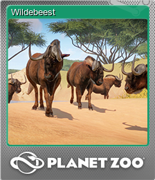 Wildebeest (闪亮)