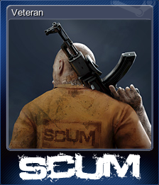 Veteran (集换式卡牌)