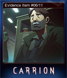 Evidence Item #06/11