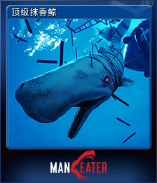 629820-Apex Sperm Whale