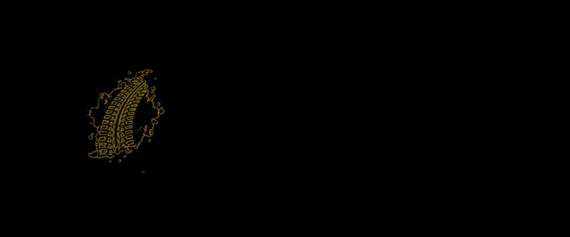 1168660-Tire tracks